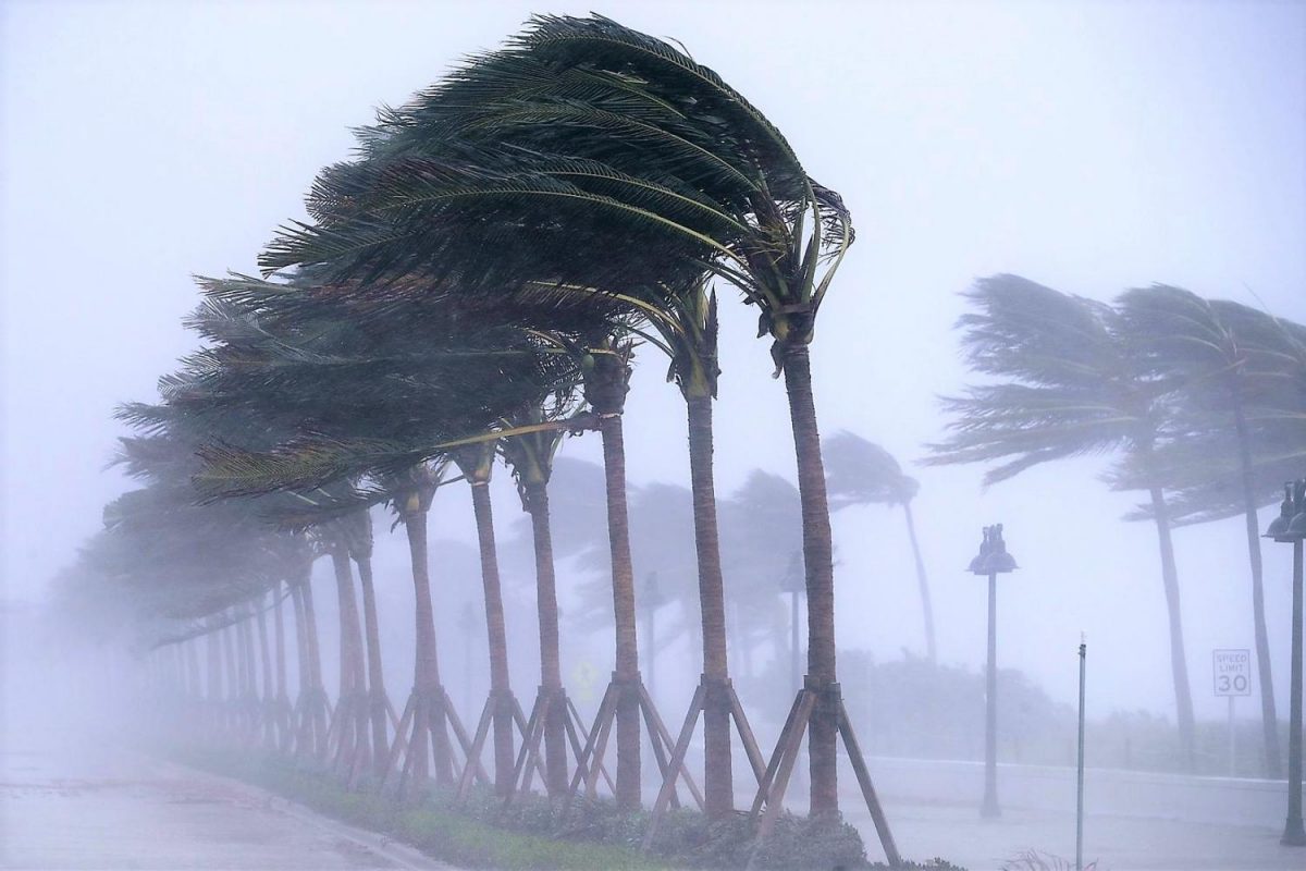 Preparing for the Worst:  Hurricane Irma