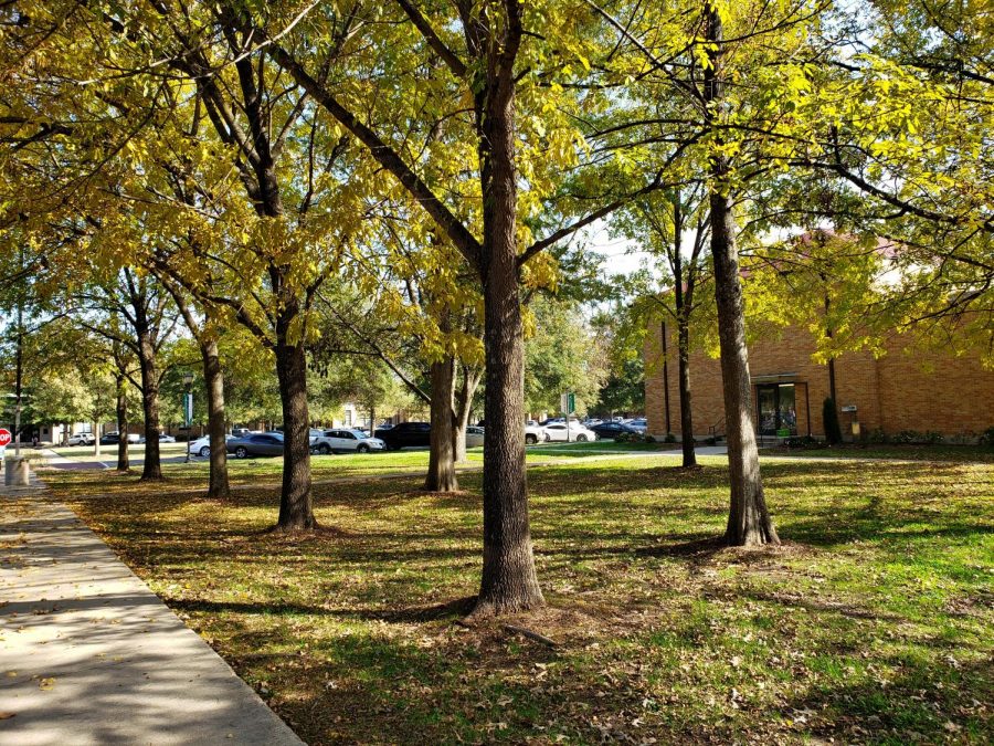 A quiet place near the BPAC to relax after a stressful day. Photo by Anthony Brown.