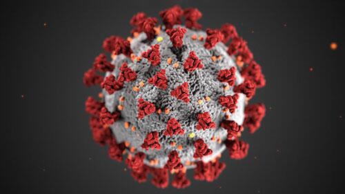 an image of the COVID-19 virus