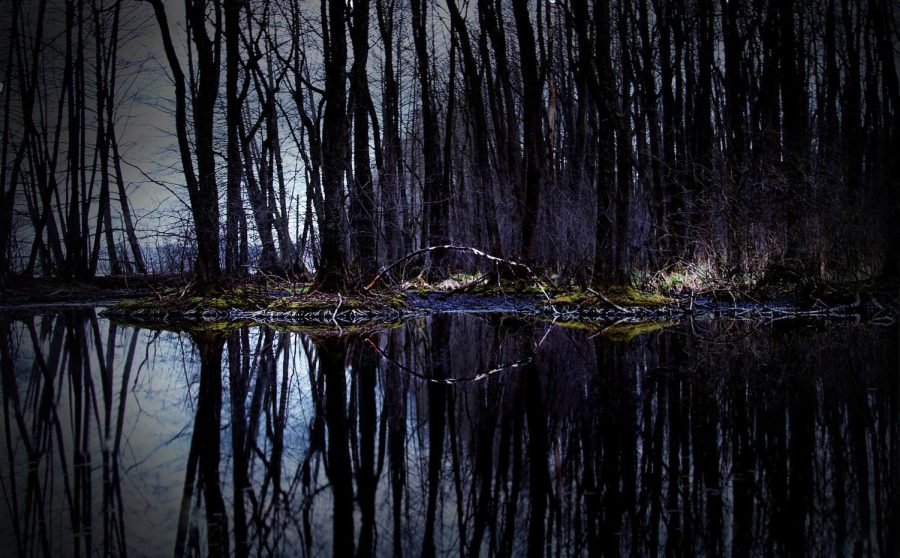 Eerie Swamp at Night