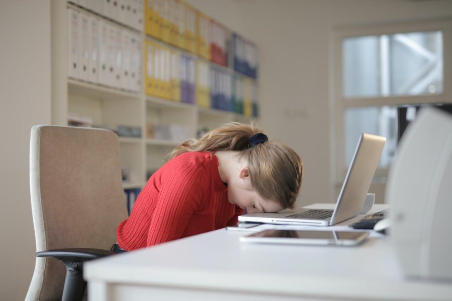 A student falls asleep at her computer.